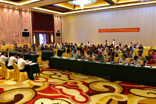 2理事会会议现场.JPG